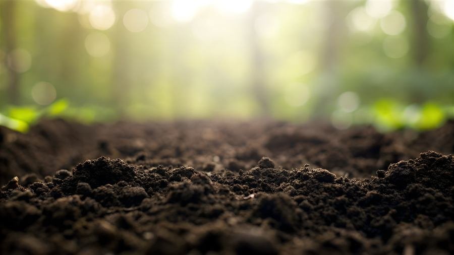 Suelo oscuro y fértil con raíces, base biológica del sistema agrícola